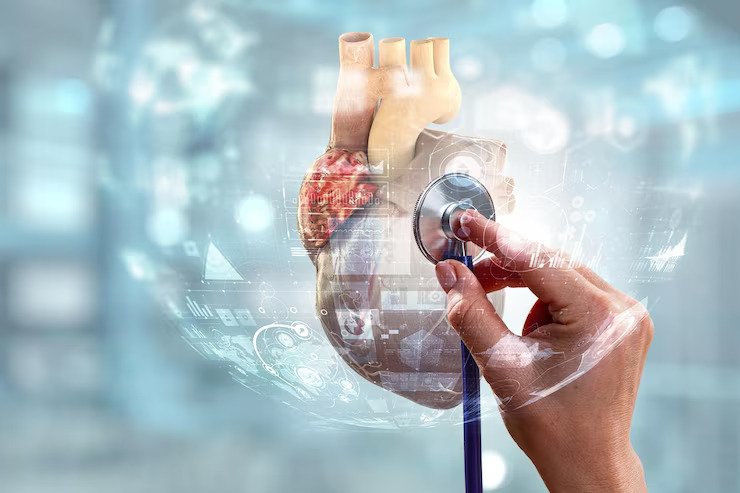 man-s-hands-showing-anatomical-heart